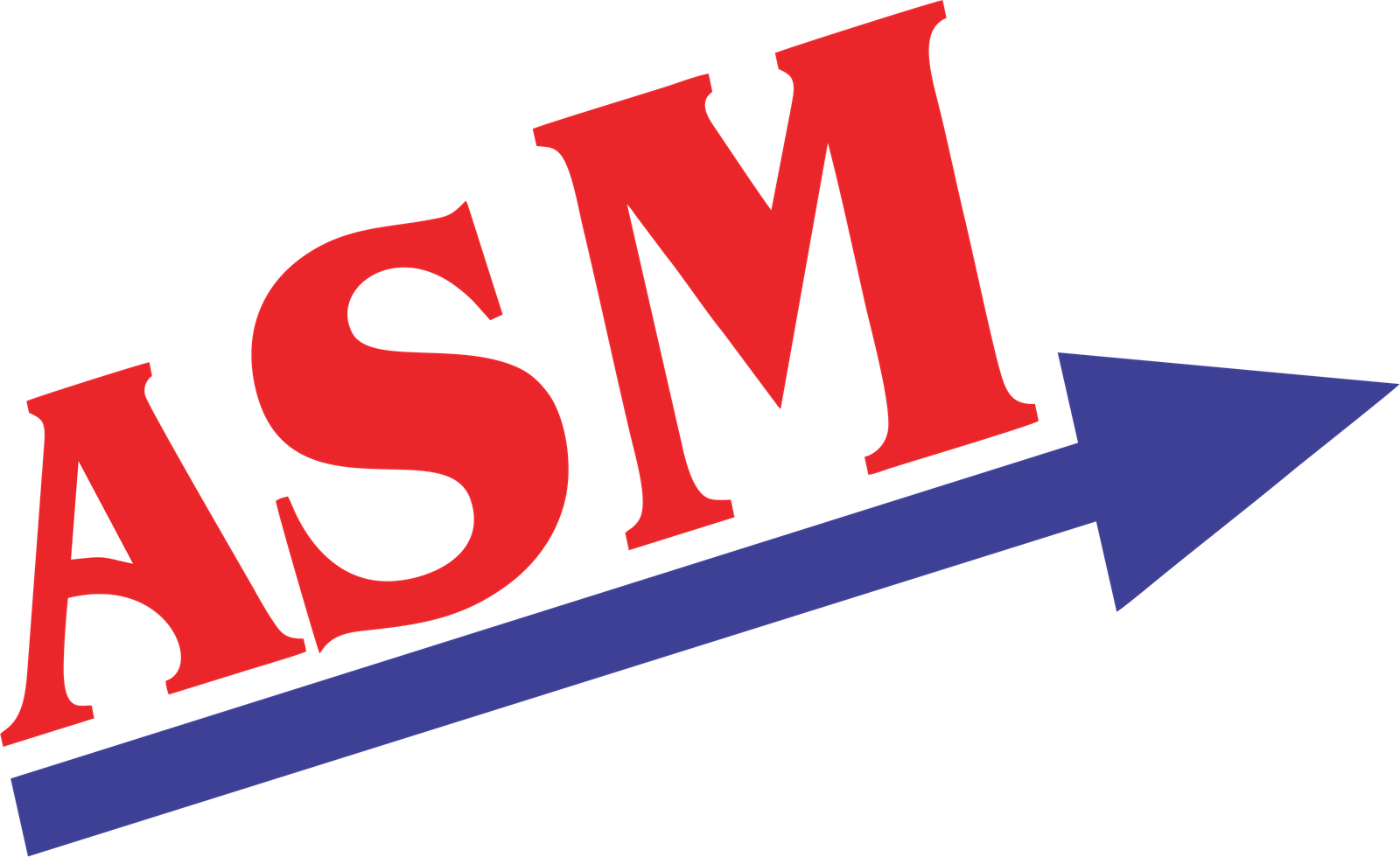 ASM CASTINGS PVT LTD logo