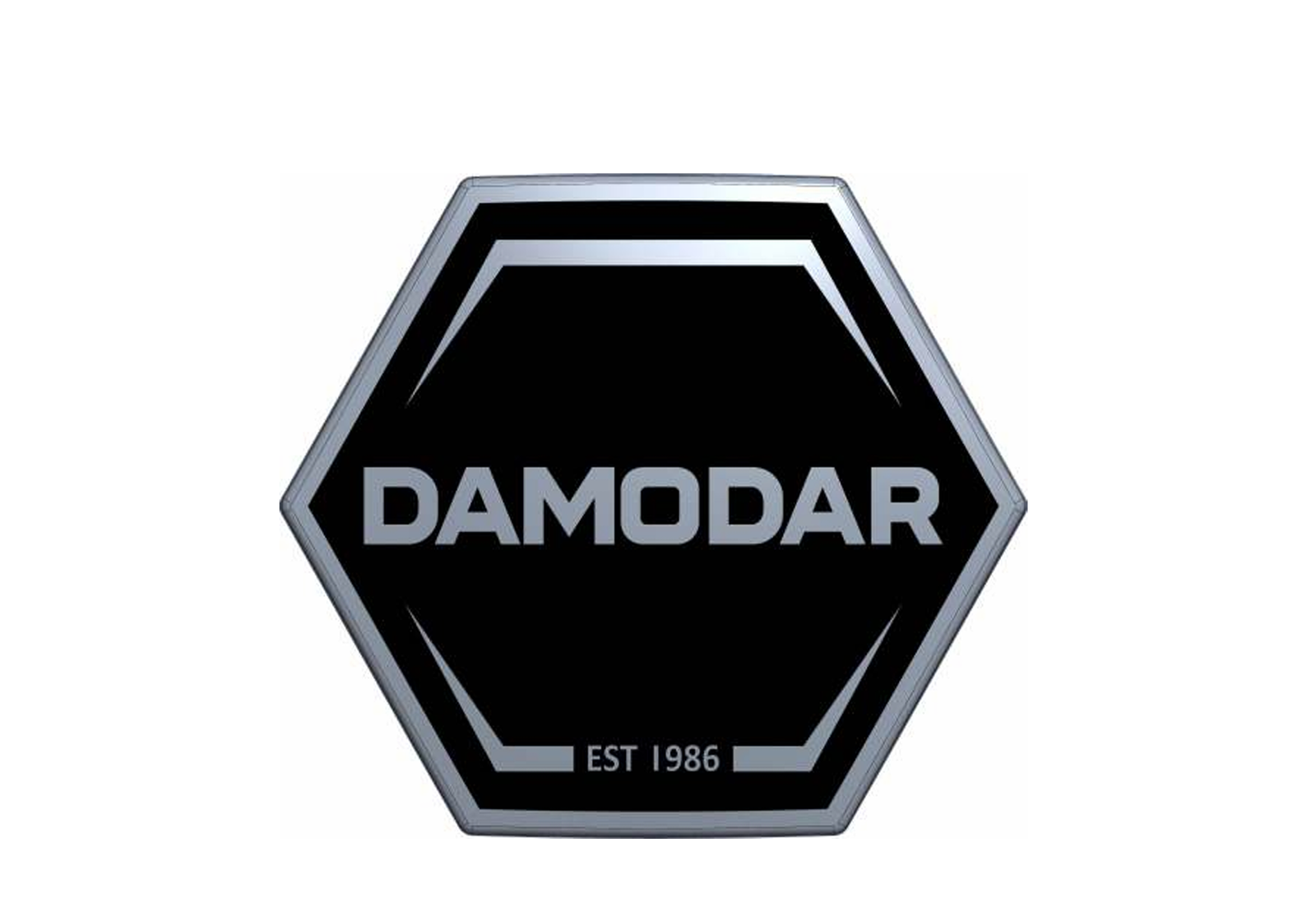 DAMODAR GROUP logo